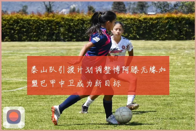 泰山队引援计划调整博阿滕无缘加盟巴甲中卫成为新目标